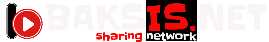 baksis.net Logo
