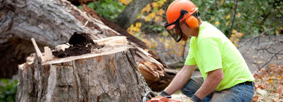 Mississippi Tree Removal Cover Image